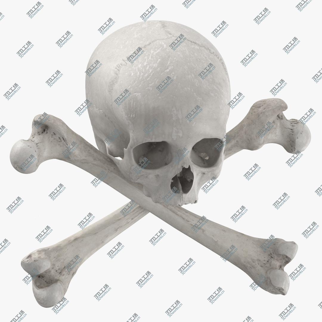 images/goods_img/202104091/Pirate Skull and Bones Composition 02 White 3D/1.jpg